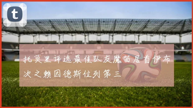 托莫里评选最佳队友魔笛居首伊布次之赖因德斯位列第三