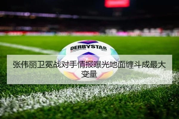 张伟丽卫冕战对手情报曝光地面缠斗成最大变量 - BOYUSPORTS